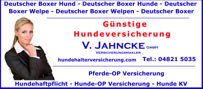 Deutscher-Boxer
